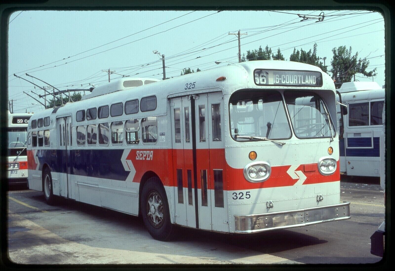 Septa Philadelphia (pa) Original Bus Slide # 325 Taken 1980