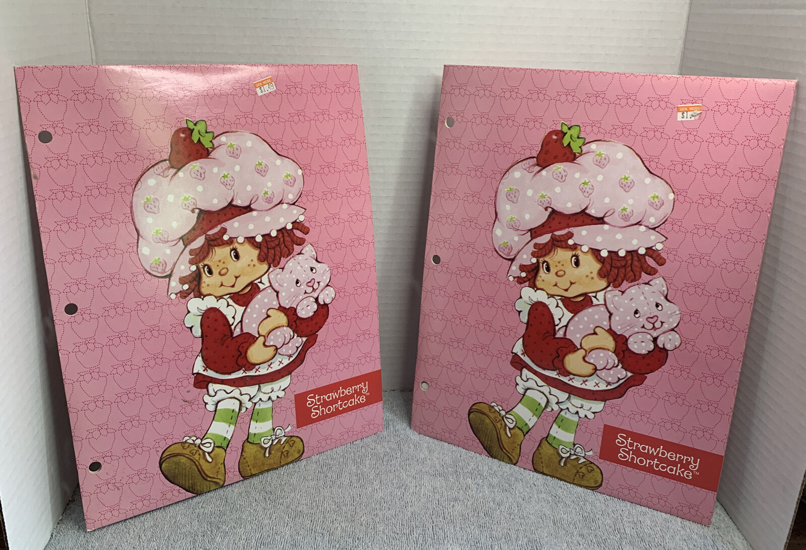 4 - 2006 Strawberry Shortcake Childrens School Folders Pink With Character