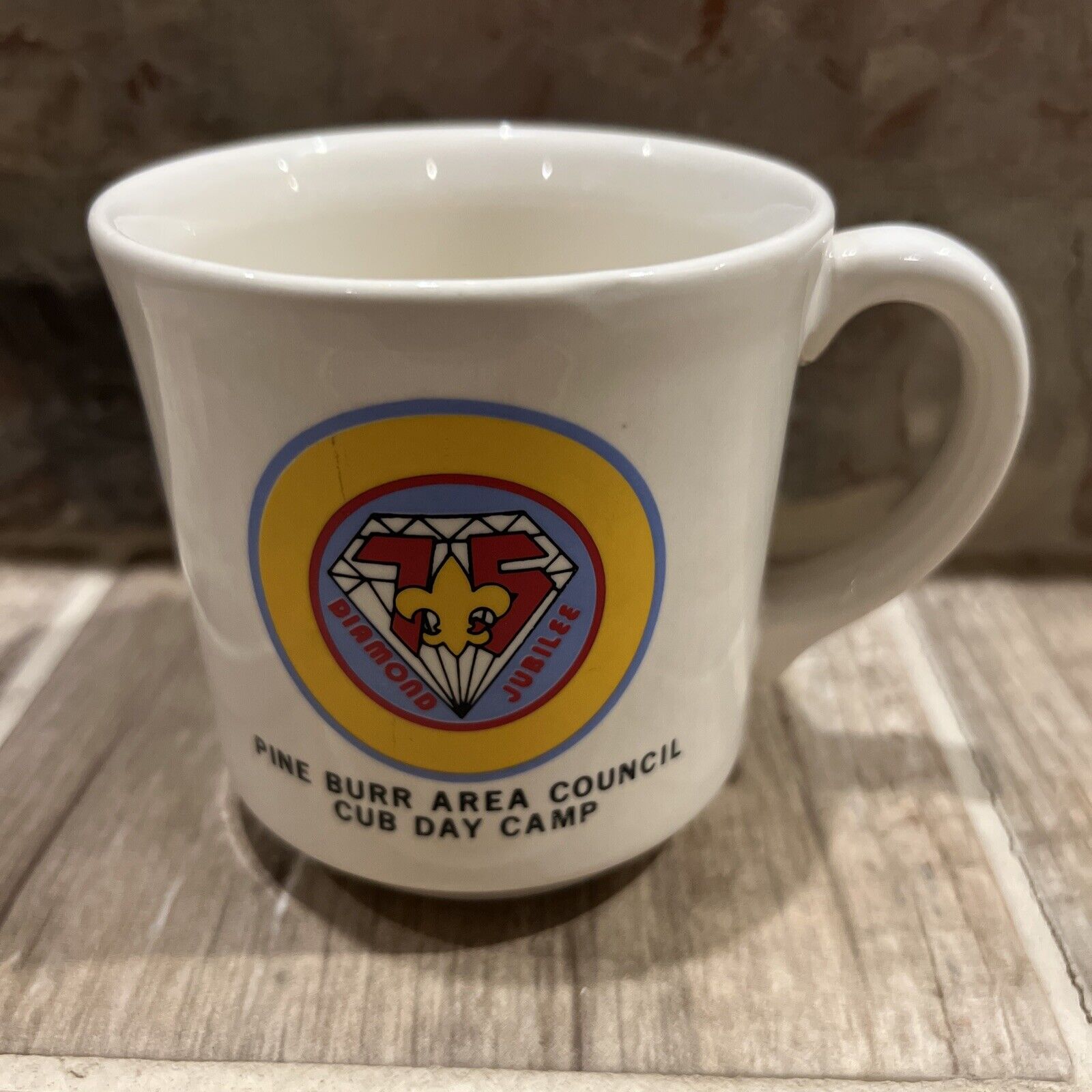 Vintage Bsa Boy Scouts Of America Pine Burr Area Council Cub Day Coffee Mug Usa