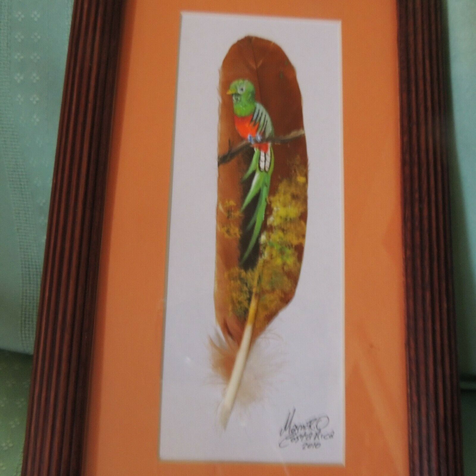 Hand Painted Feather Parrot Painting Costa Rica 2010 Signed & Framed 11" X 6"